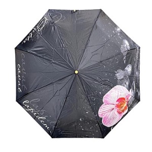 Три слона [109341]