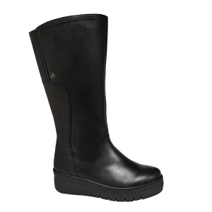 Ионесси [100255]