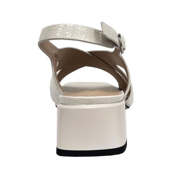 CARLO BELLINI [106147]